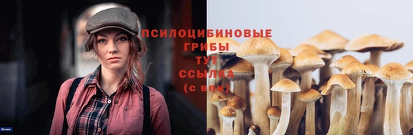 молекула духа Куйбышев