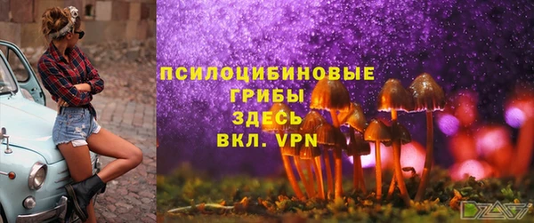 ГАЛЛЮЦИНОГЕННЫЕ ГРИБЫ Алагир