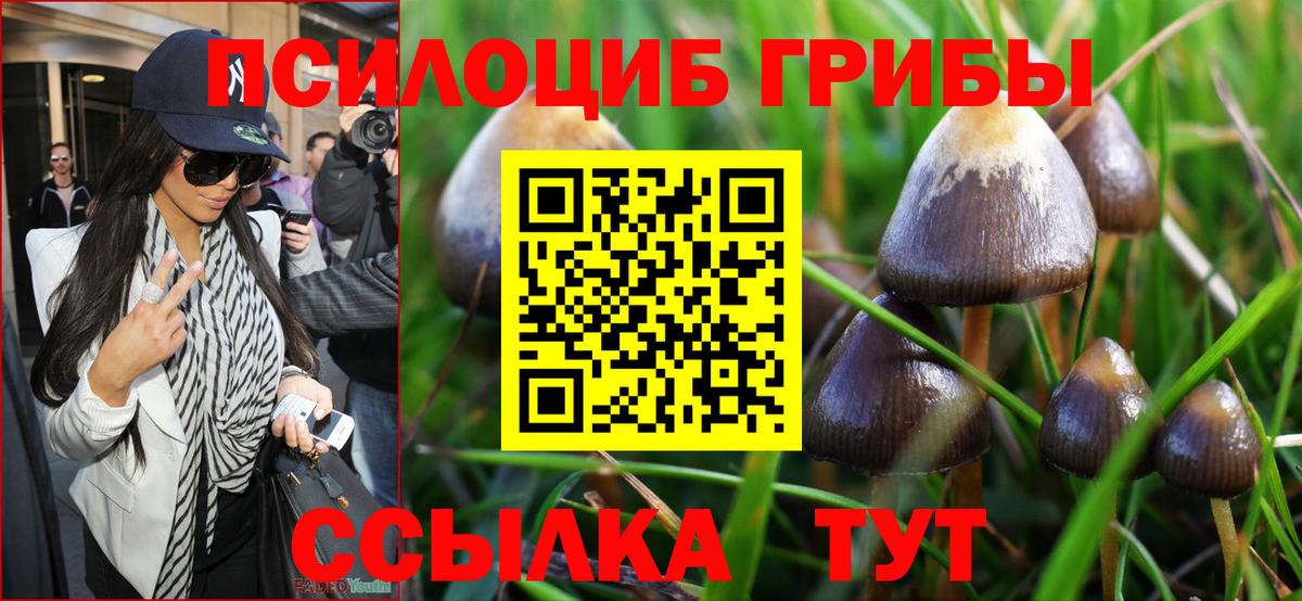 Когалым  Псилоцибиновые грибы мухоморы  Вход с VPN 