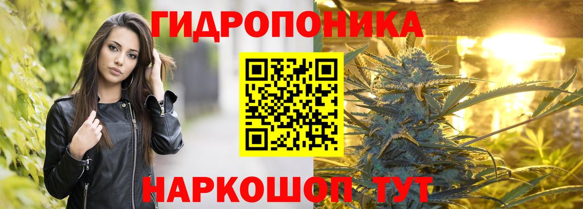 Шишки марихуана план  Конопля гибрид  Вход с VPN  Марихуана Ganja  Когалым 